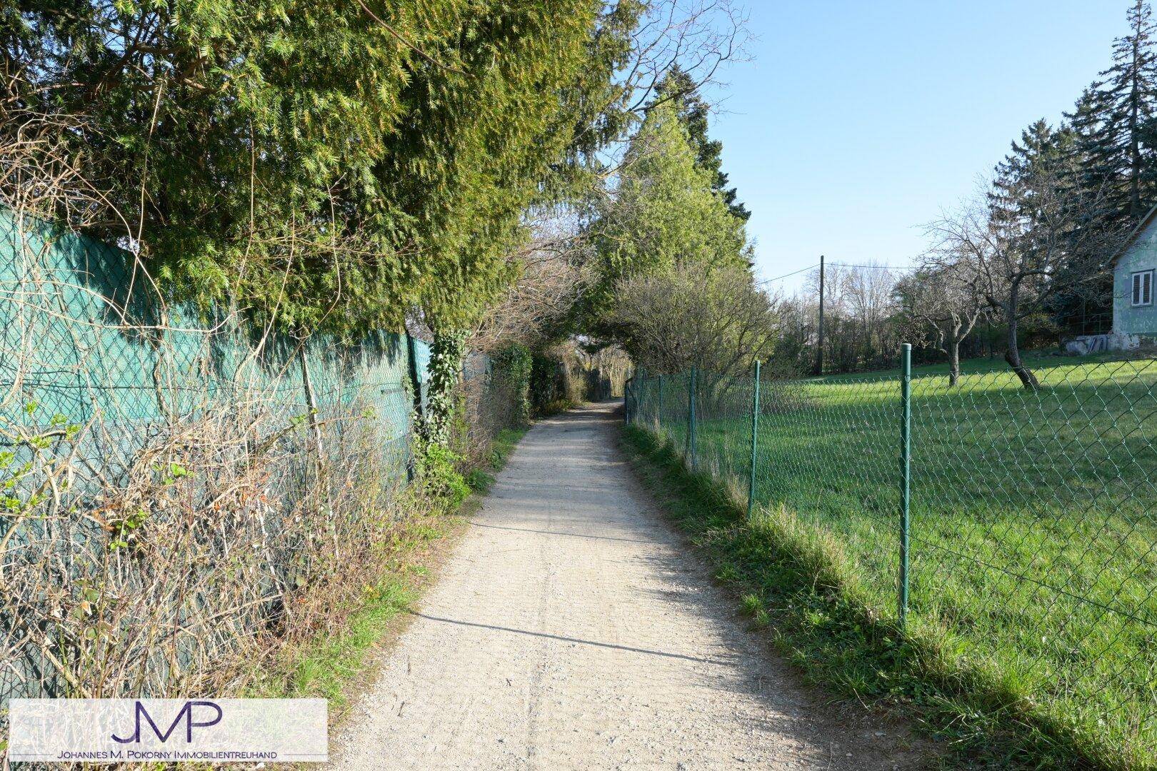 Ein von Zäunen und Bäumen gesäumter Feldweg führt in die Ferne mit Rasenfläche.