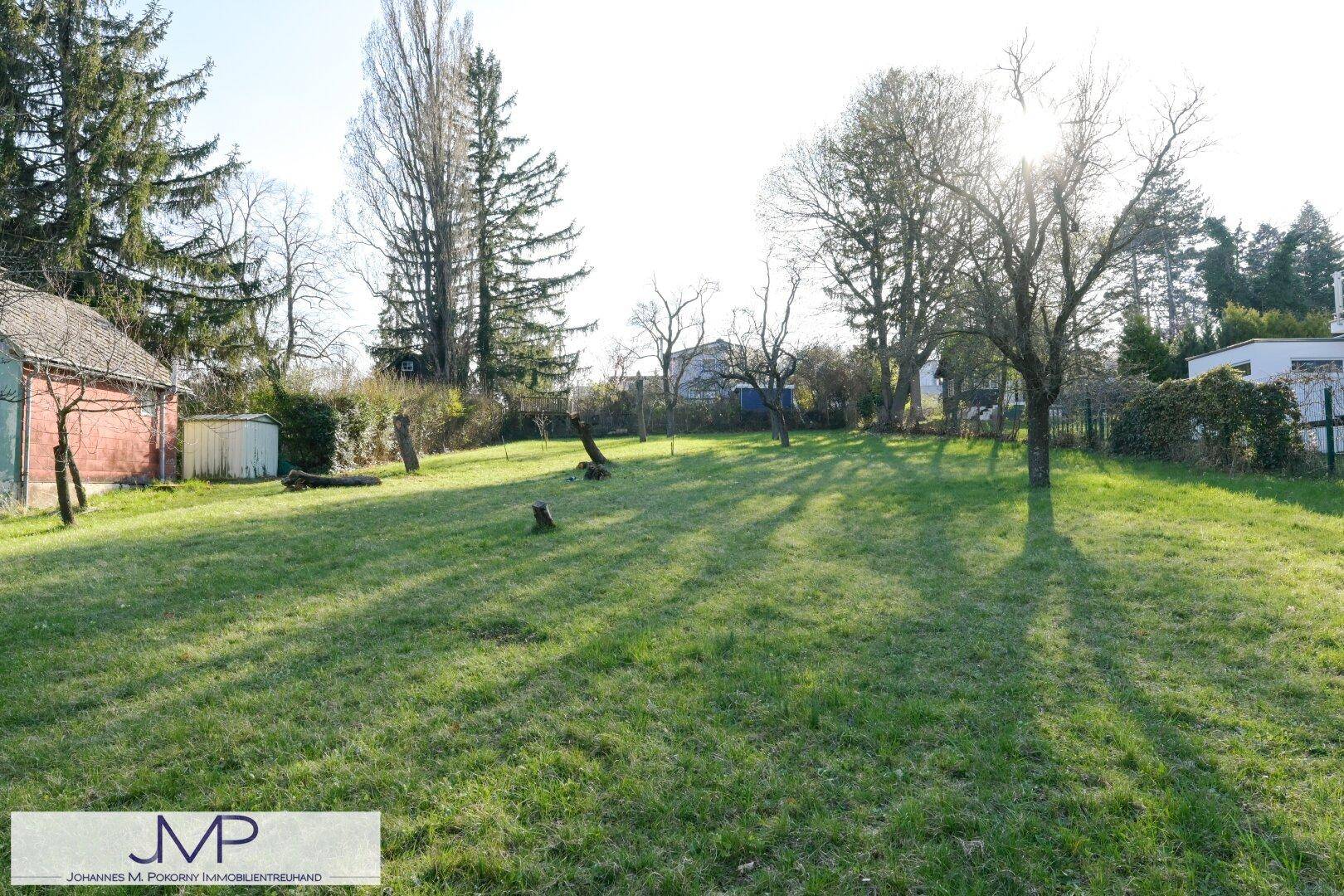 Sonniger Garten mit Rasenfläche und Bäumen, durch die das Sonnenlicht fällt.