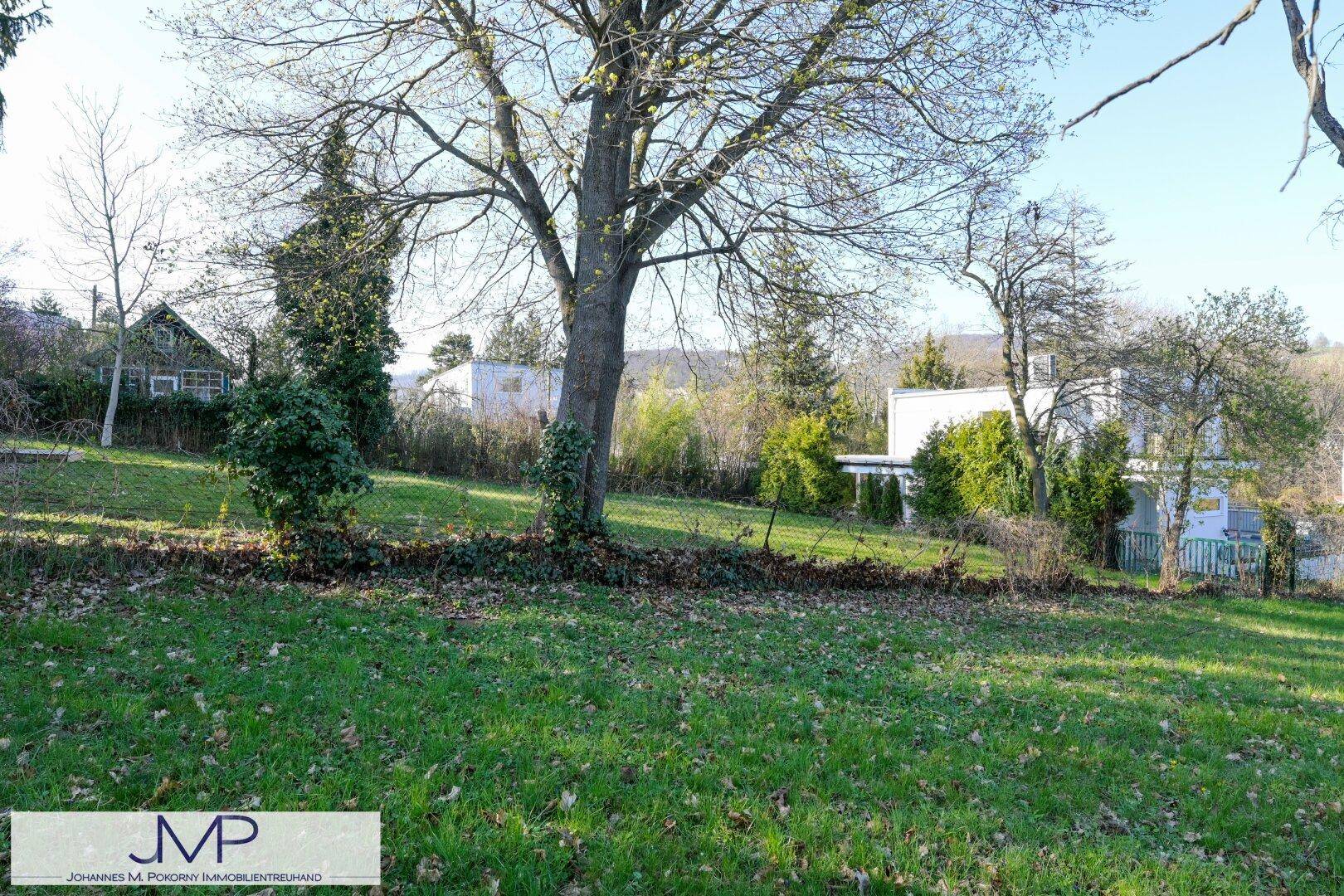 Grüner Gartenbereich mit hohen Bäumen und Blick auf ein modernes Gebäude in der Ferne.