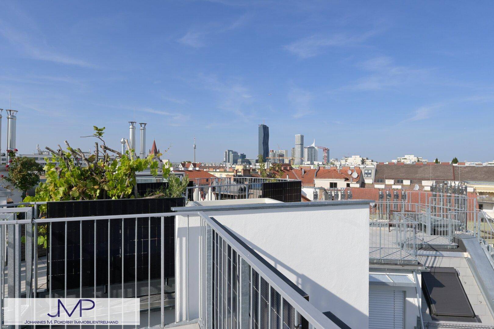 Dachterrasse mit Pflanzen und Blick auf die moderne Skyline der Stadt.
