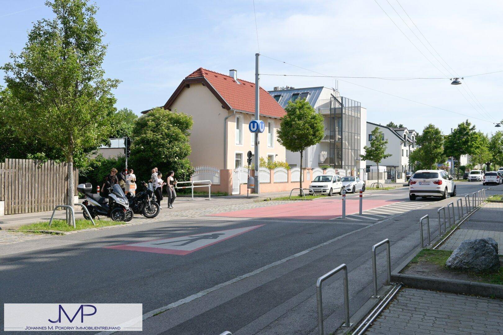 Ruhige Wohnstraße mit Bäumen, einem traditionellen Haus und geparkten Autos.