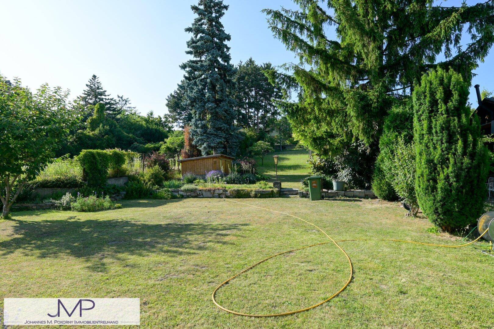 Großer Garten mit hohen Nadelbäumen und einer weiten Rasenfläche unter blauem Himmel.