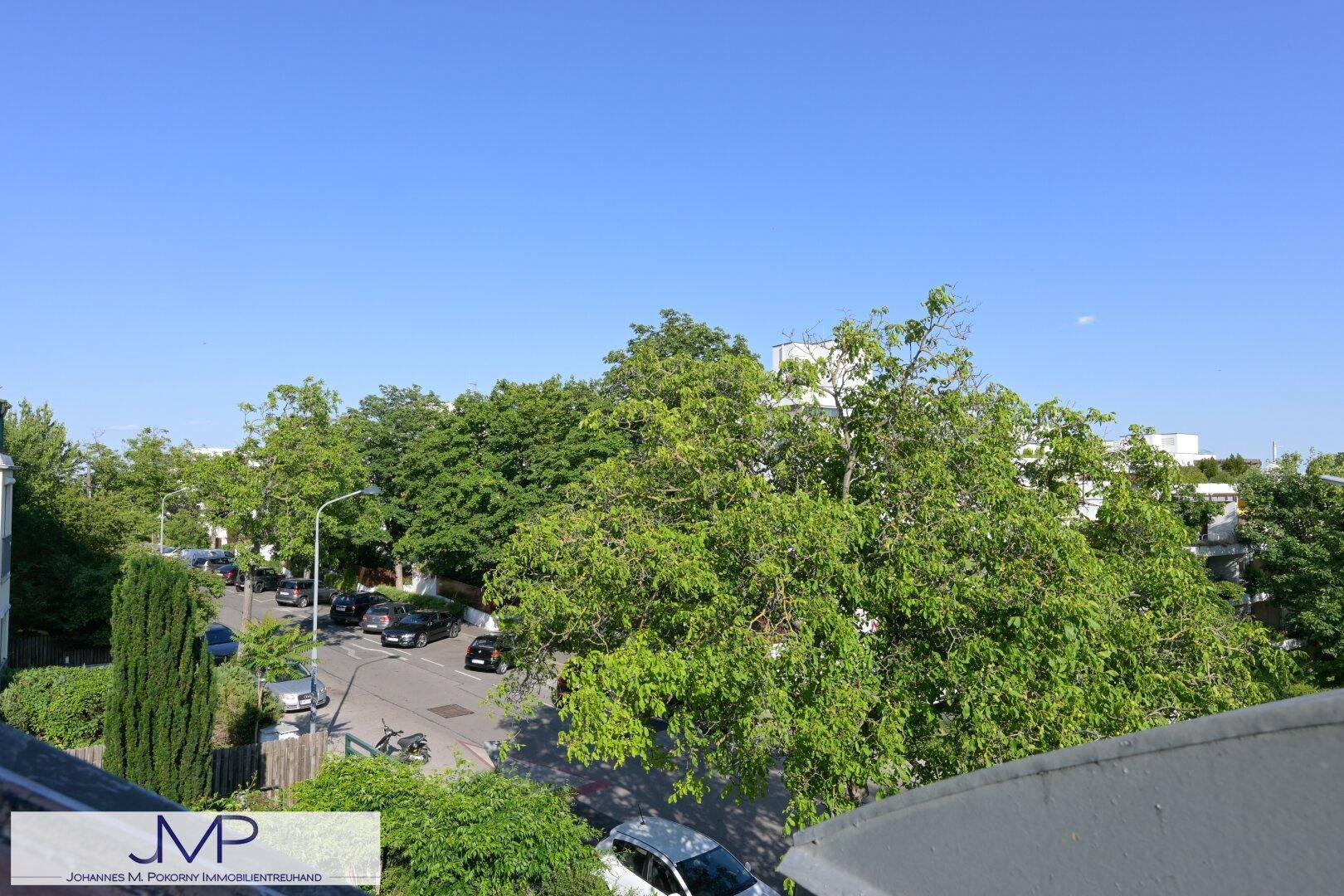 Blick auf eine von Bäumen gesäumte Straße mit parkenden Autos und viel Grün.