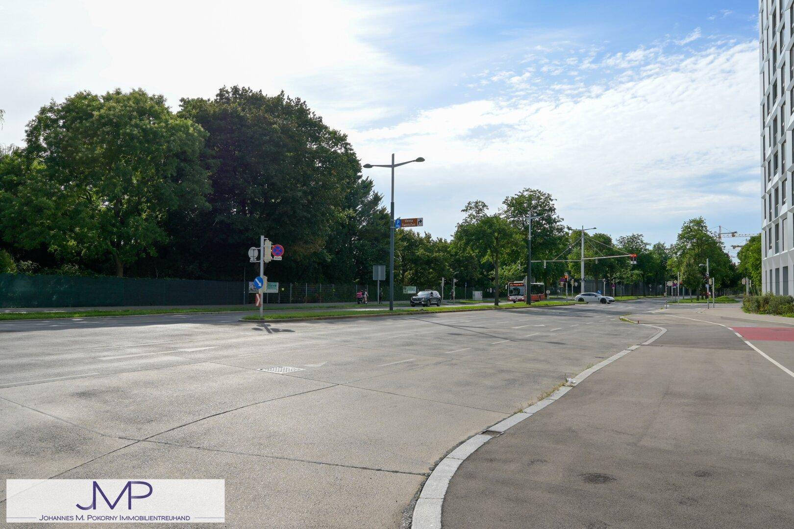 Breite Straßenkreuzung mit viel Grün und Bäumen in einer städtischen Umgebung.