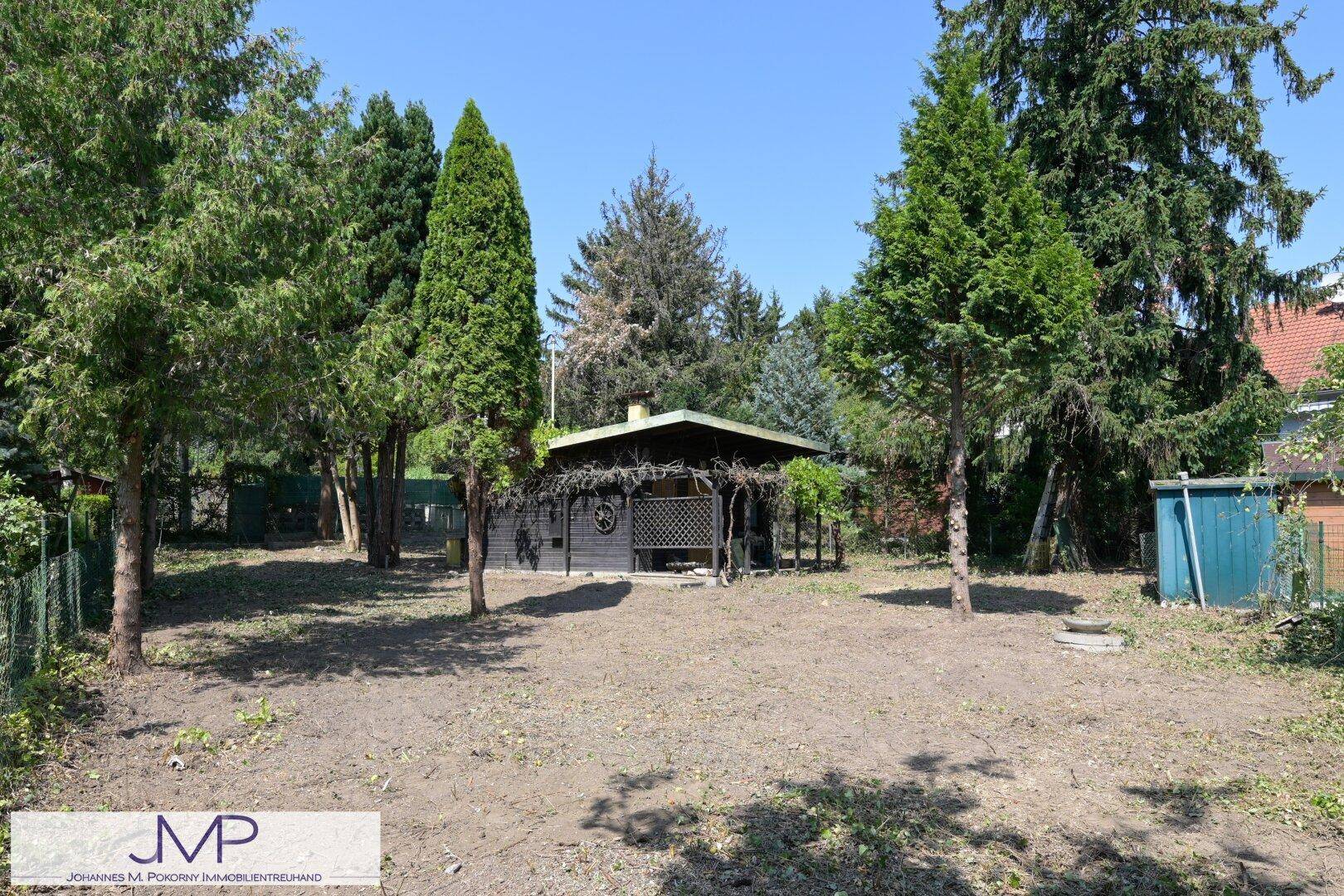 Offener Gartenbereich mit einem kleinen Gartenhaus und hohen Bäumen unter blauem Himmel.