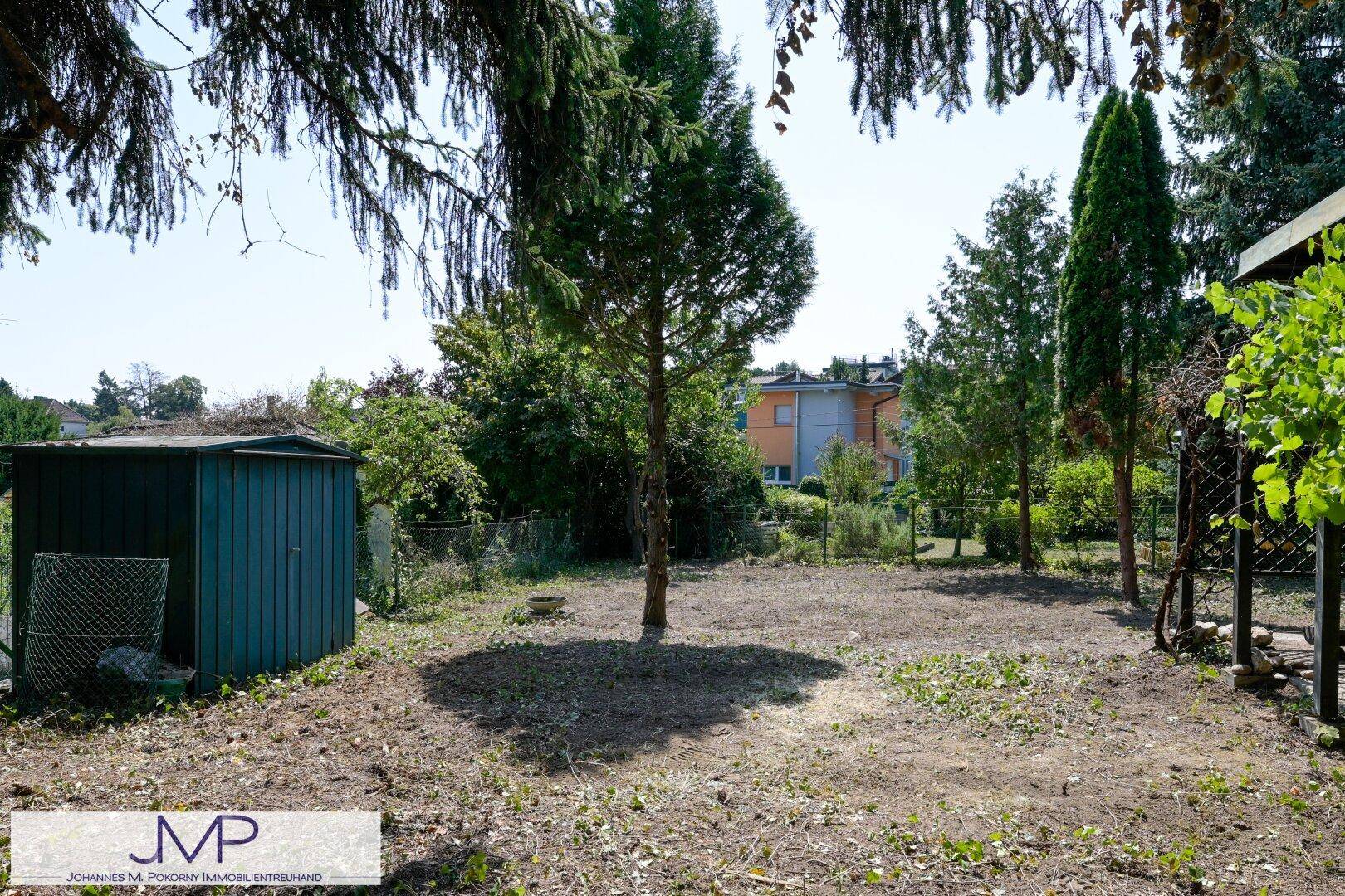 Weitläufiger Garten mit einem grünen Schuppen und hohen Bäumen unter blauem Himmel.