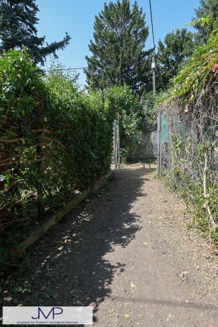 Schmaler Zugangsweg, gesäumt von hohen Hecken und Zäunen, führt zu einem Gartentor.