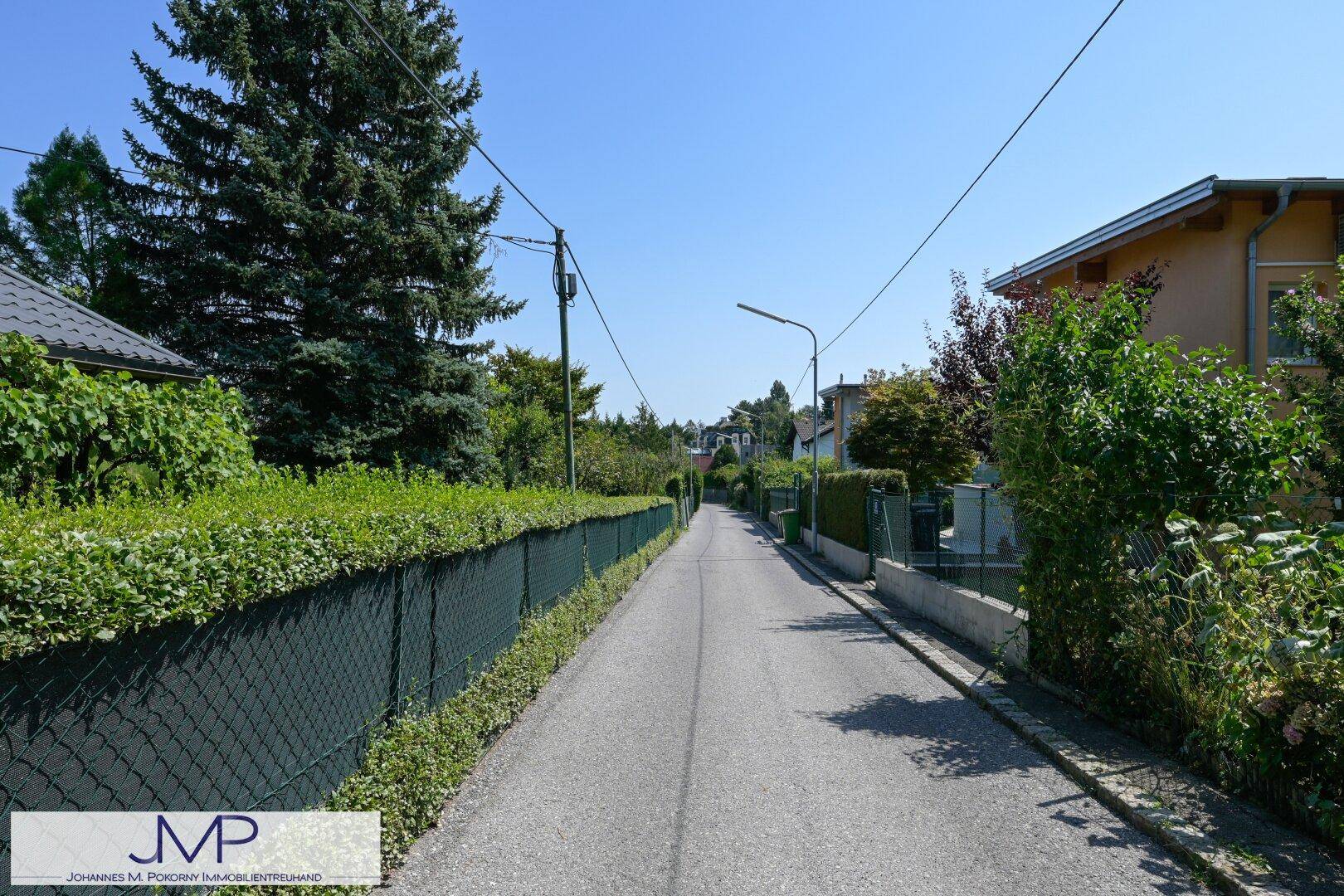 Ruhige Wohnstraße mit gepflegten Hecken und Häusern unter einem klaren blauen Himmel.