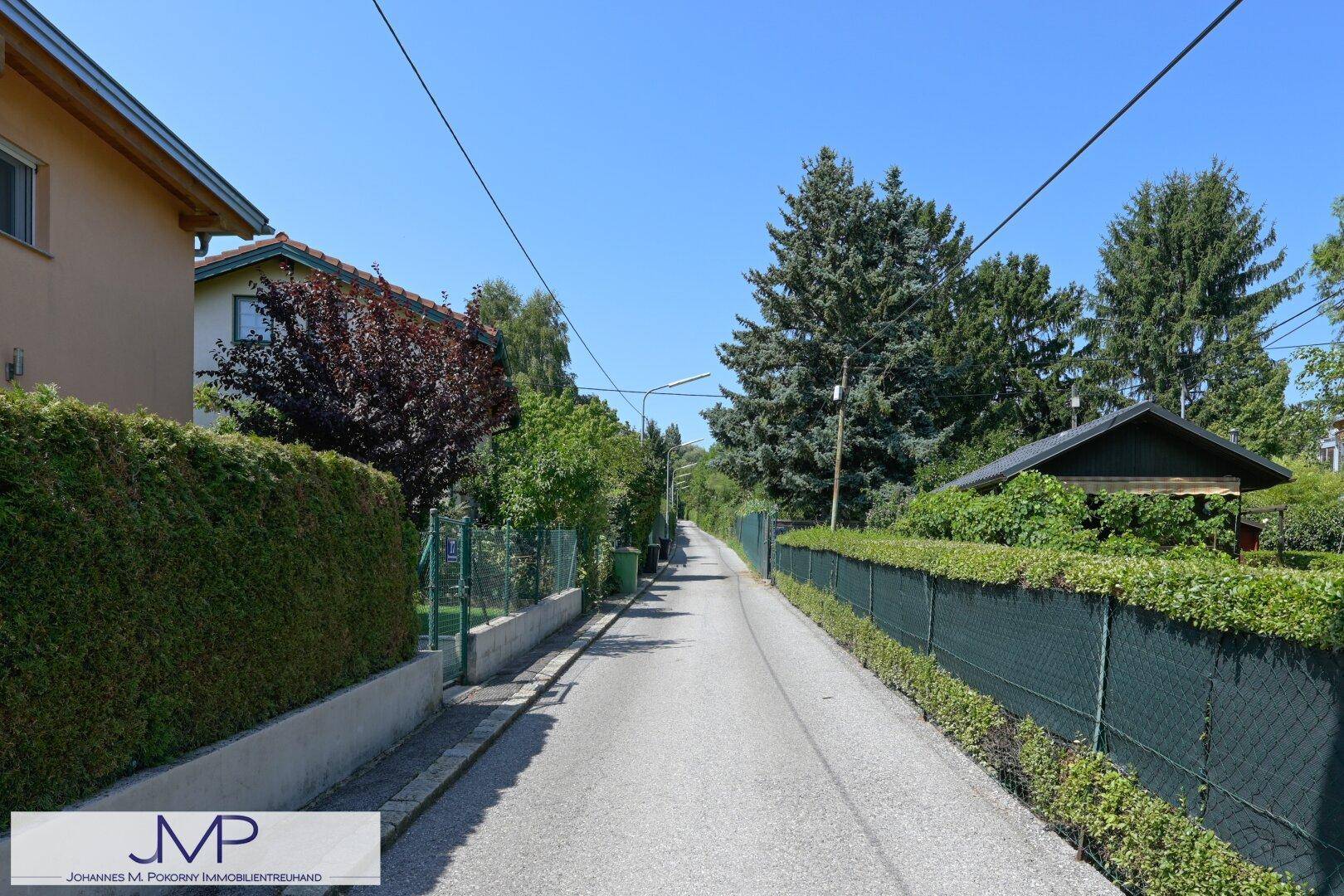 Wohnstraße mit Häusern, hohen Bäumen und grünen Hecken unter strahlendem Sonnenschein.