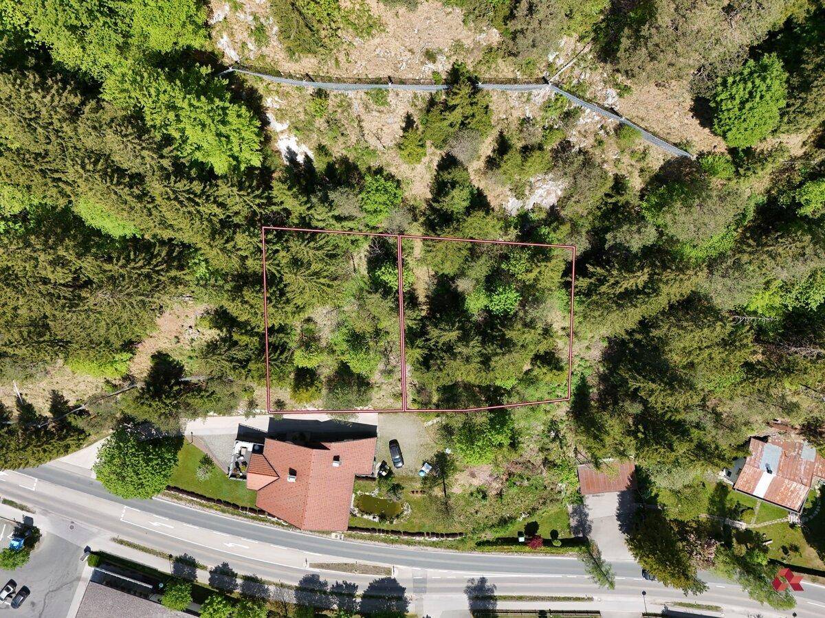 Nähere Luftaufnahme eines Hauses mit angrenzenden Waldgrundstücken und einer Straße im Vordergrund.
