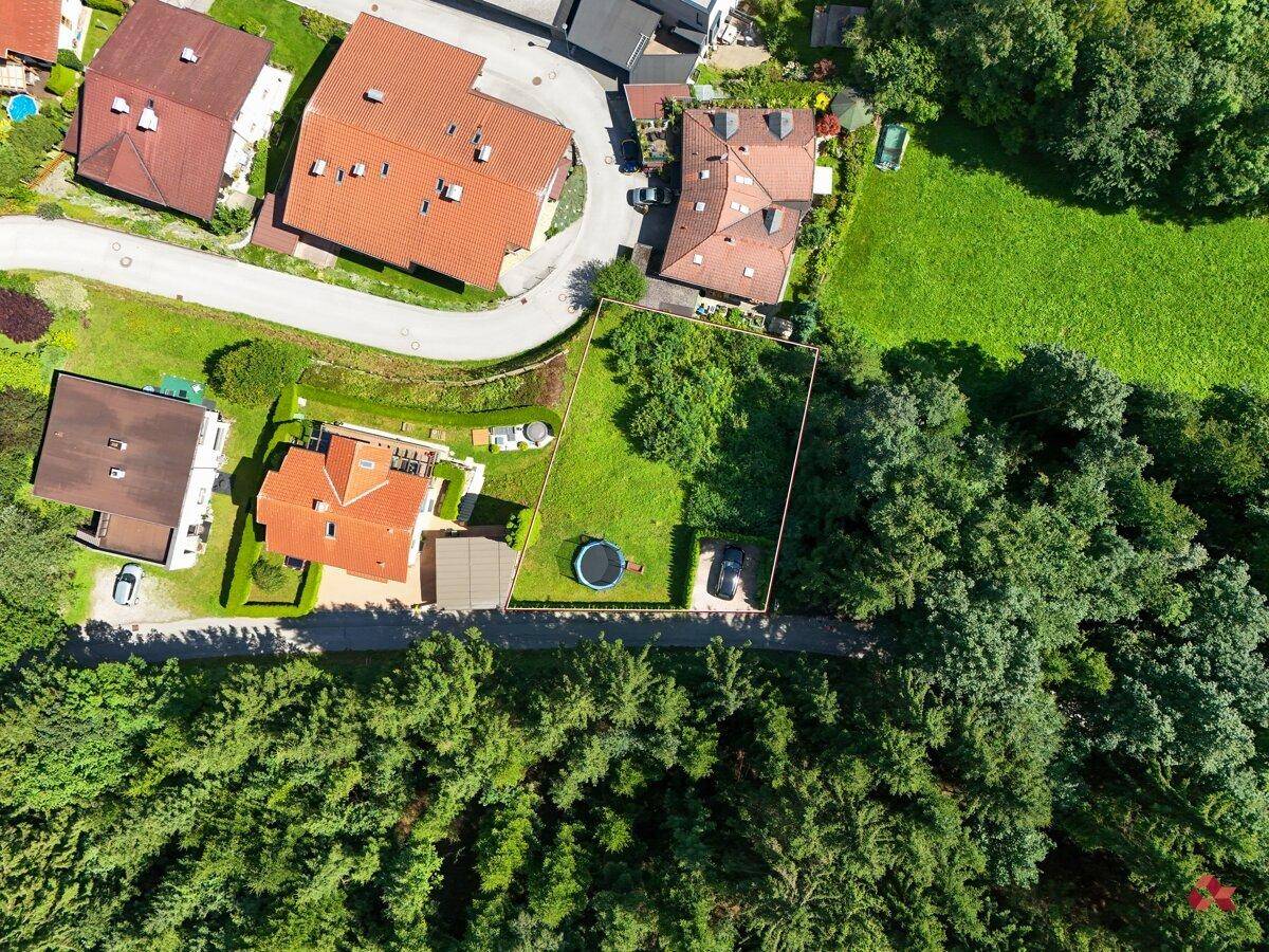 Vogelperspektive eines Wohngebiets mit einem grünen Grundstück, Waldrand und angrenzenden Häusern.