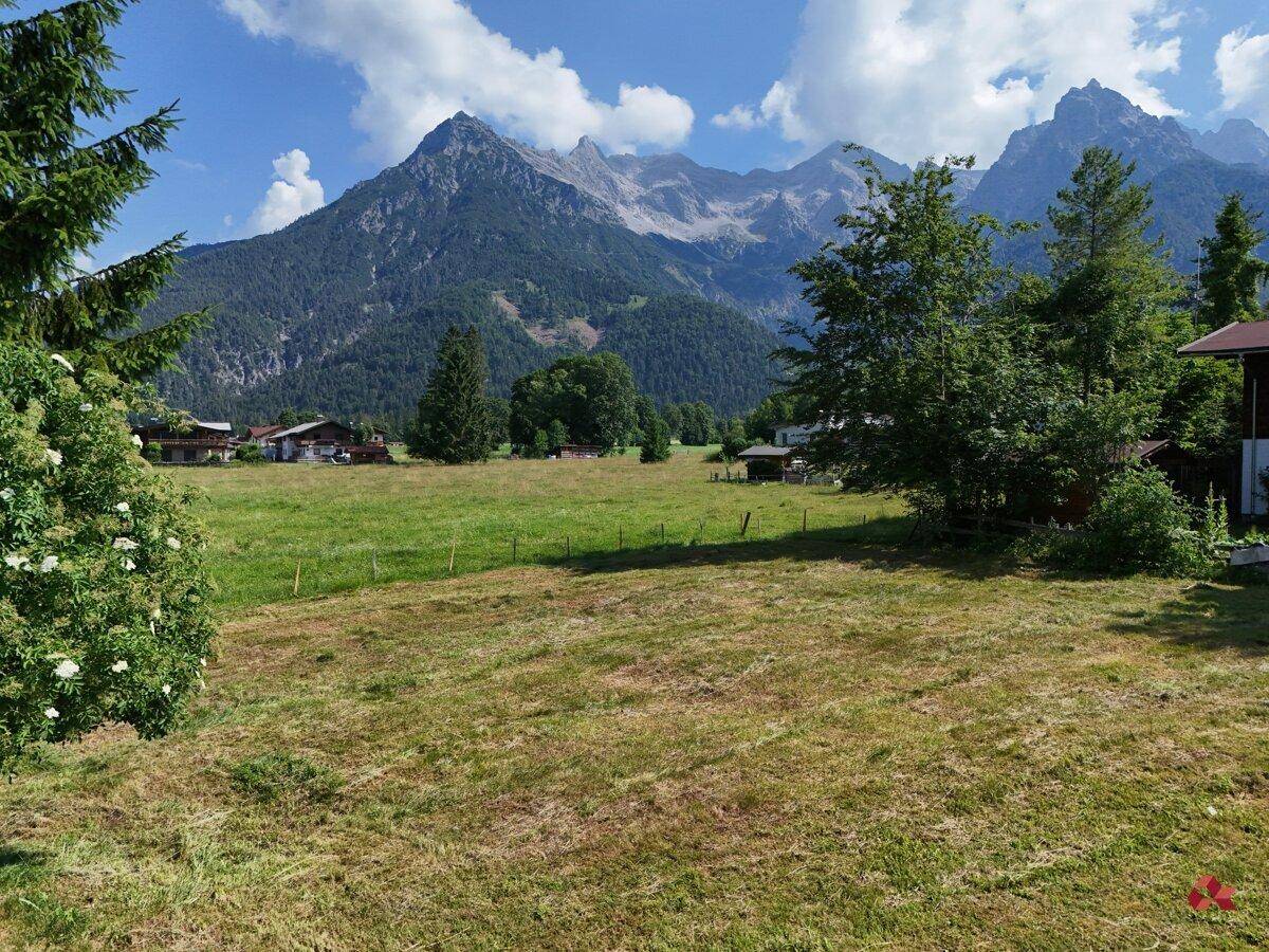 Weitläufige grüne Wiese mit majestätischem Bergblick unter blauem Himmel.