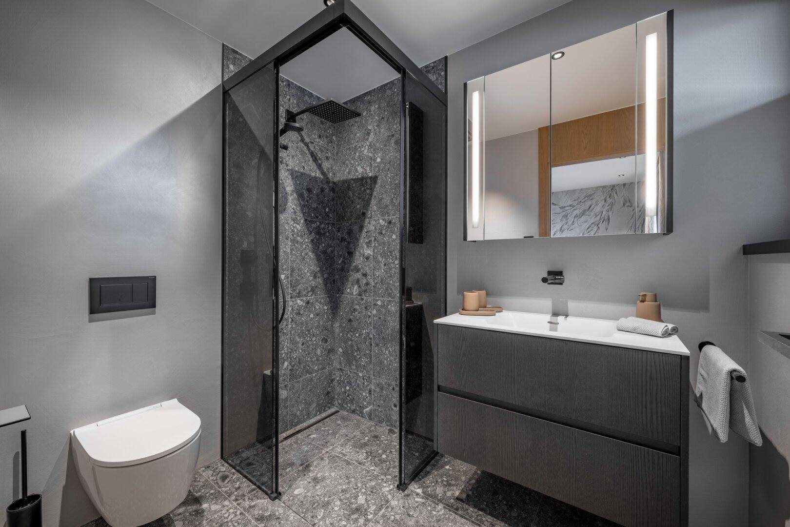 Stilvolles Badezimmer mit begehbarer Dusche, modernem Waschtisch und großem Spiegelschrank.