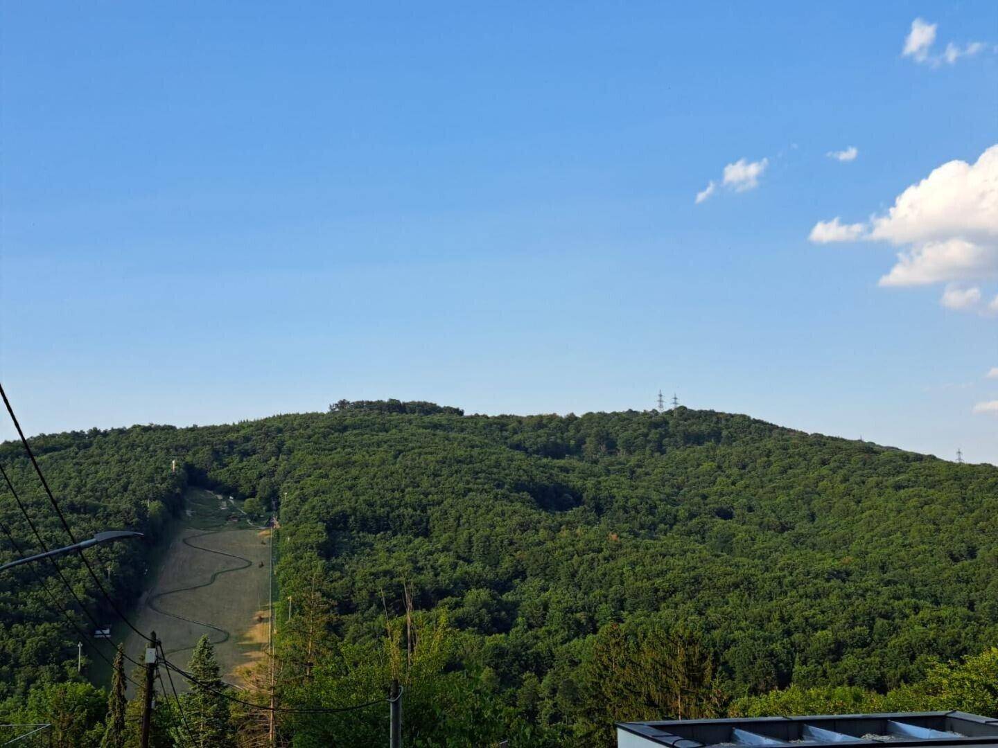 Blick auf die Hohe Wand Wiese