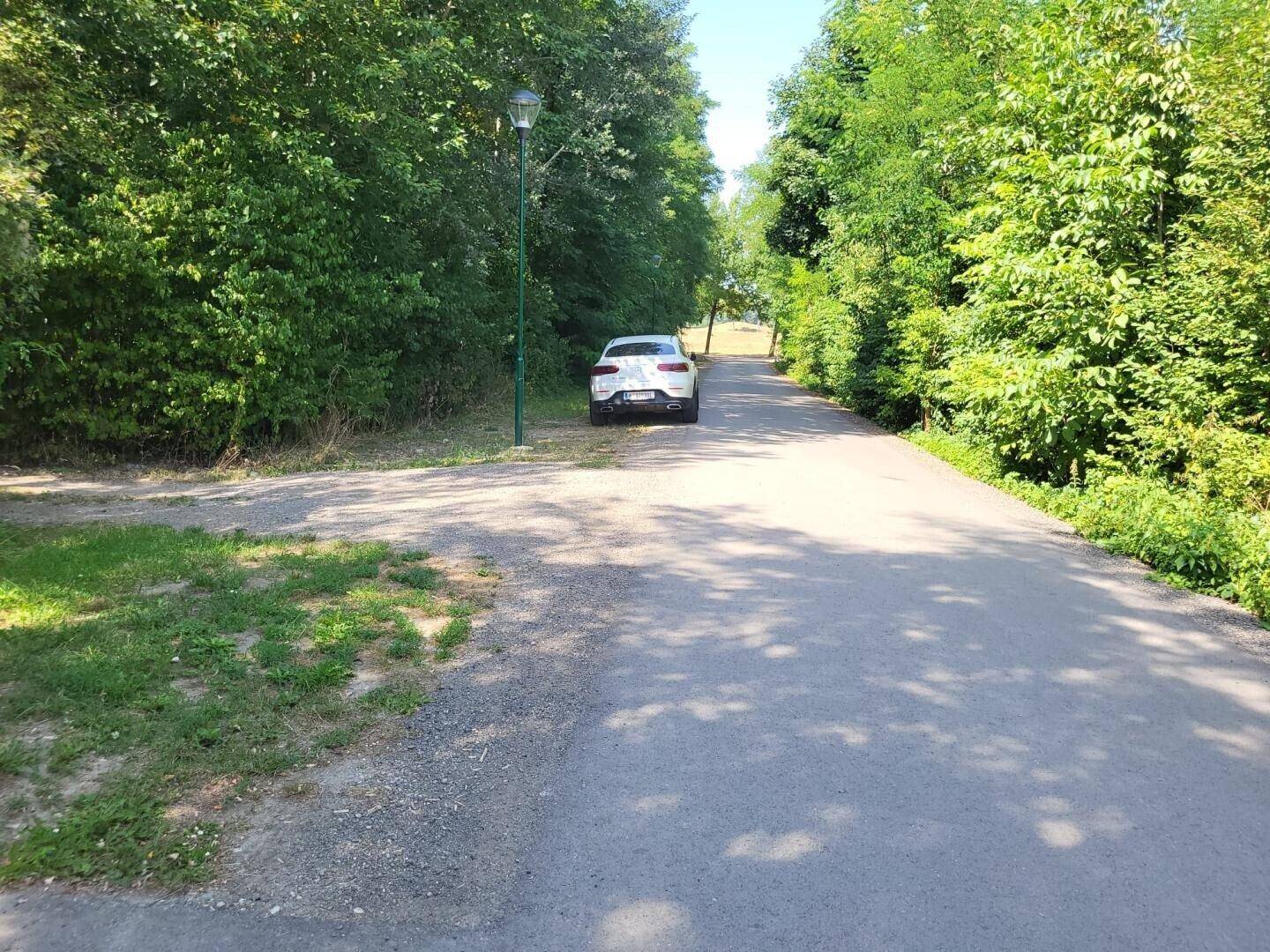 Schattiger Waldweg mit einem geparkten Auto, umgeben von dichtem Grün.