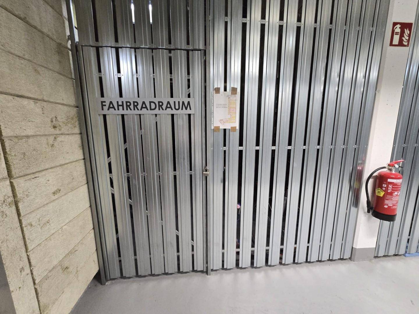 Fahrradraun