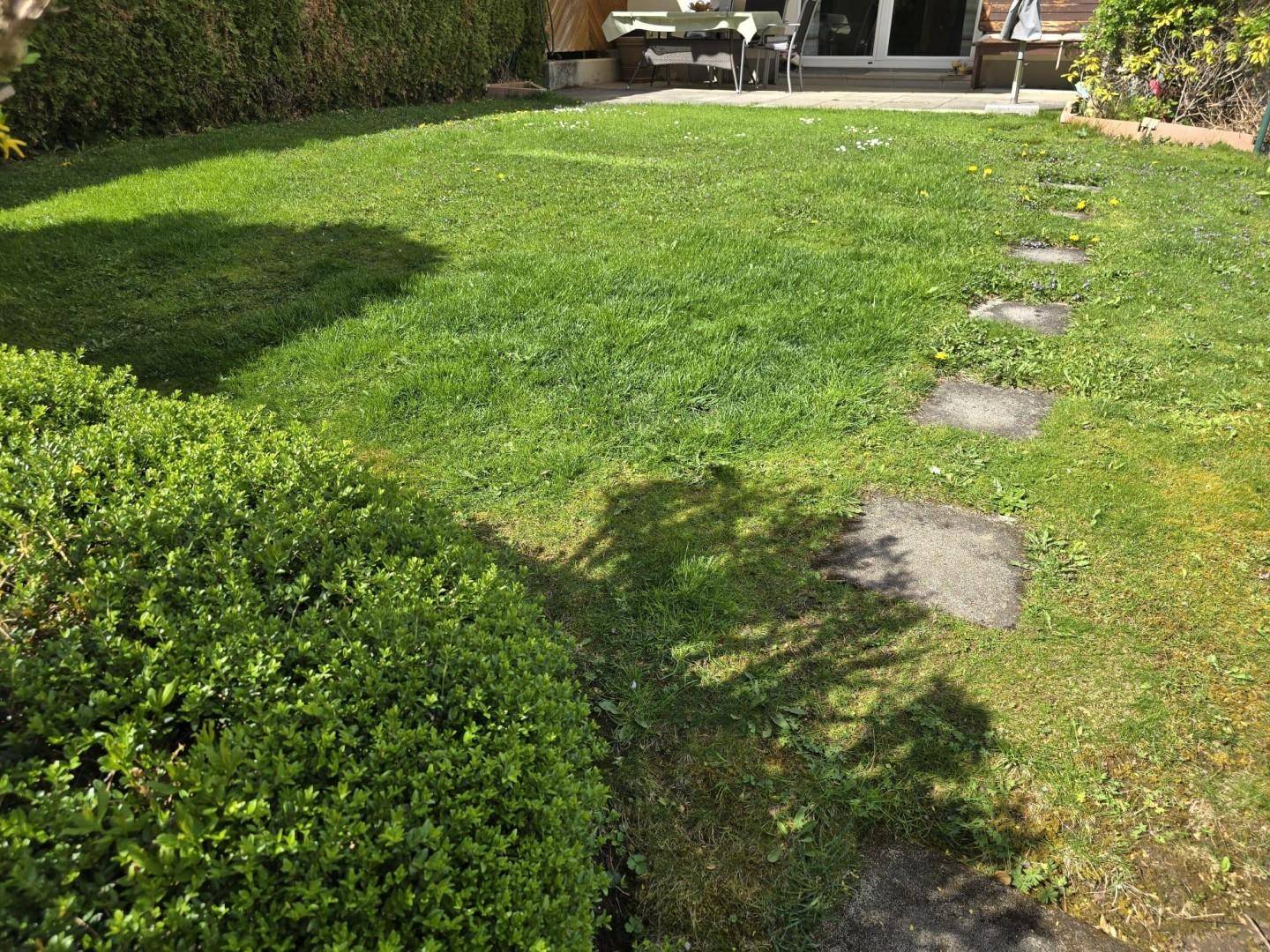 Gartenteil mit Zugang zur Terrasse