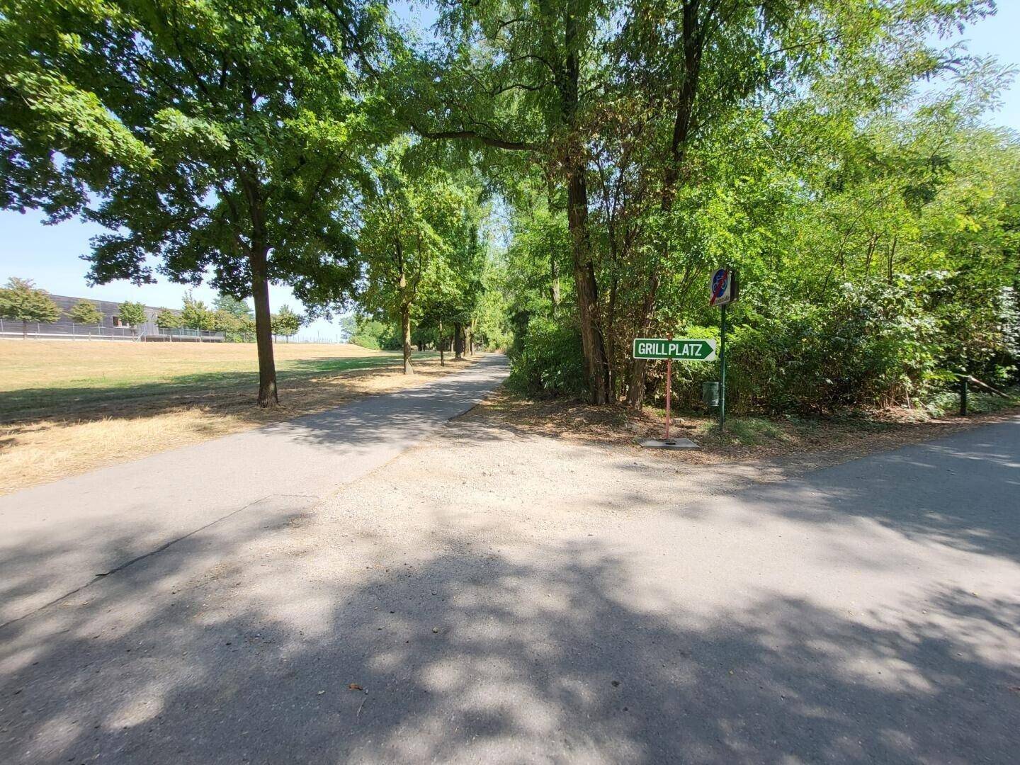 Weggabelung in einem Waldgebiet mit einem Hinweisschild zum Grillplatz.