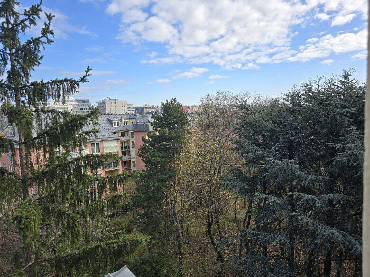 Grüne Aussicht mit Bäumen und Gebäuden in der Ferne unter blauem Himmel.