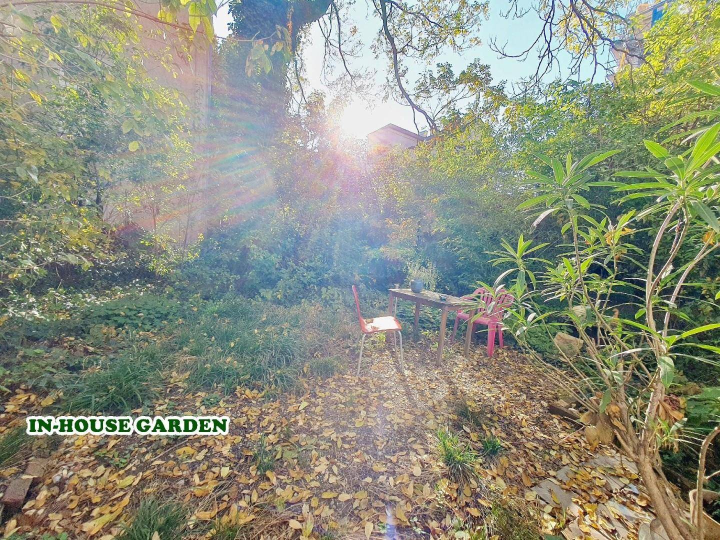 Gemeinschaftsgarten im Hof