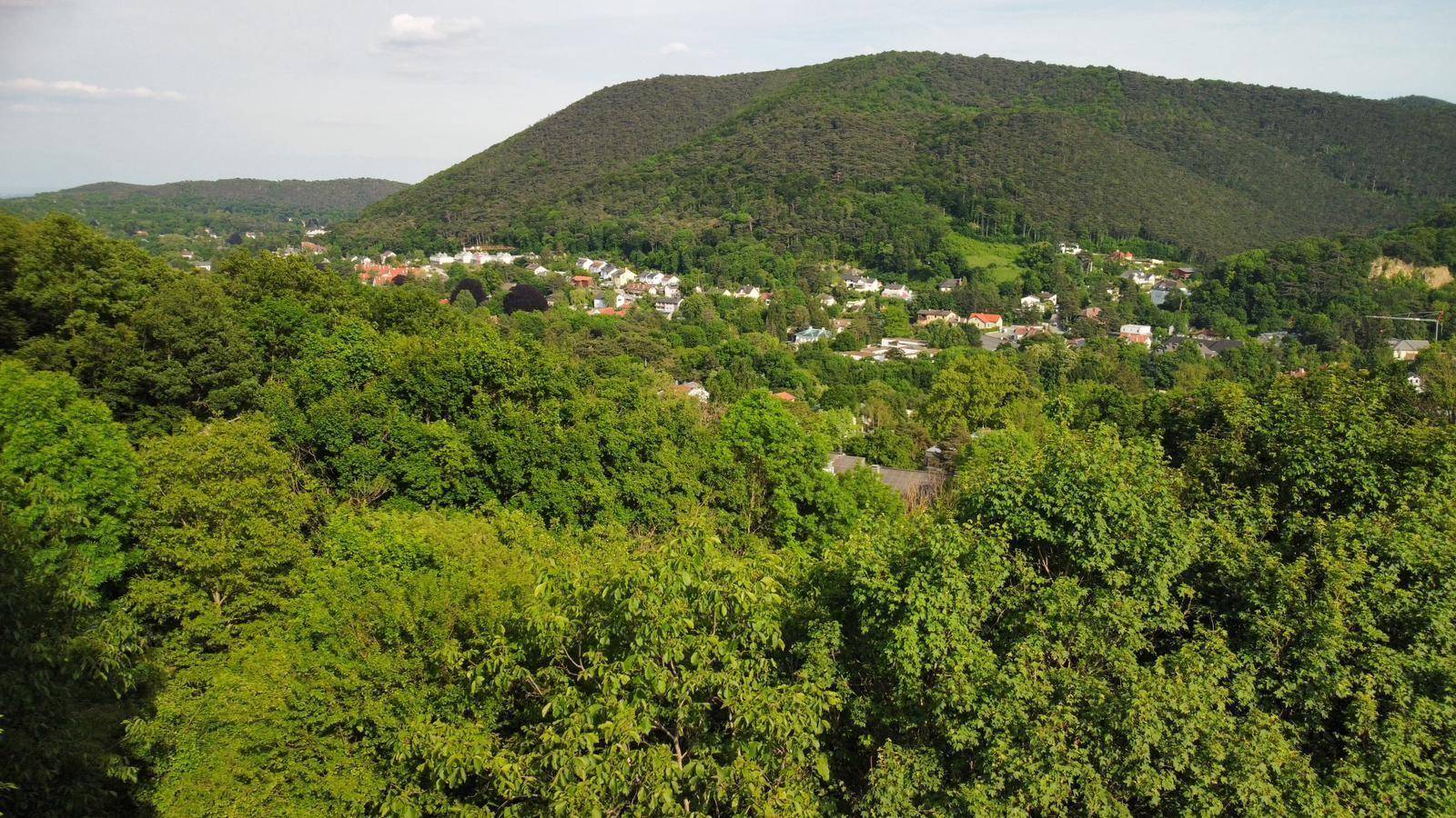 Ausblick vom Balkon aus