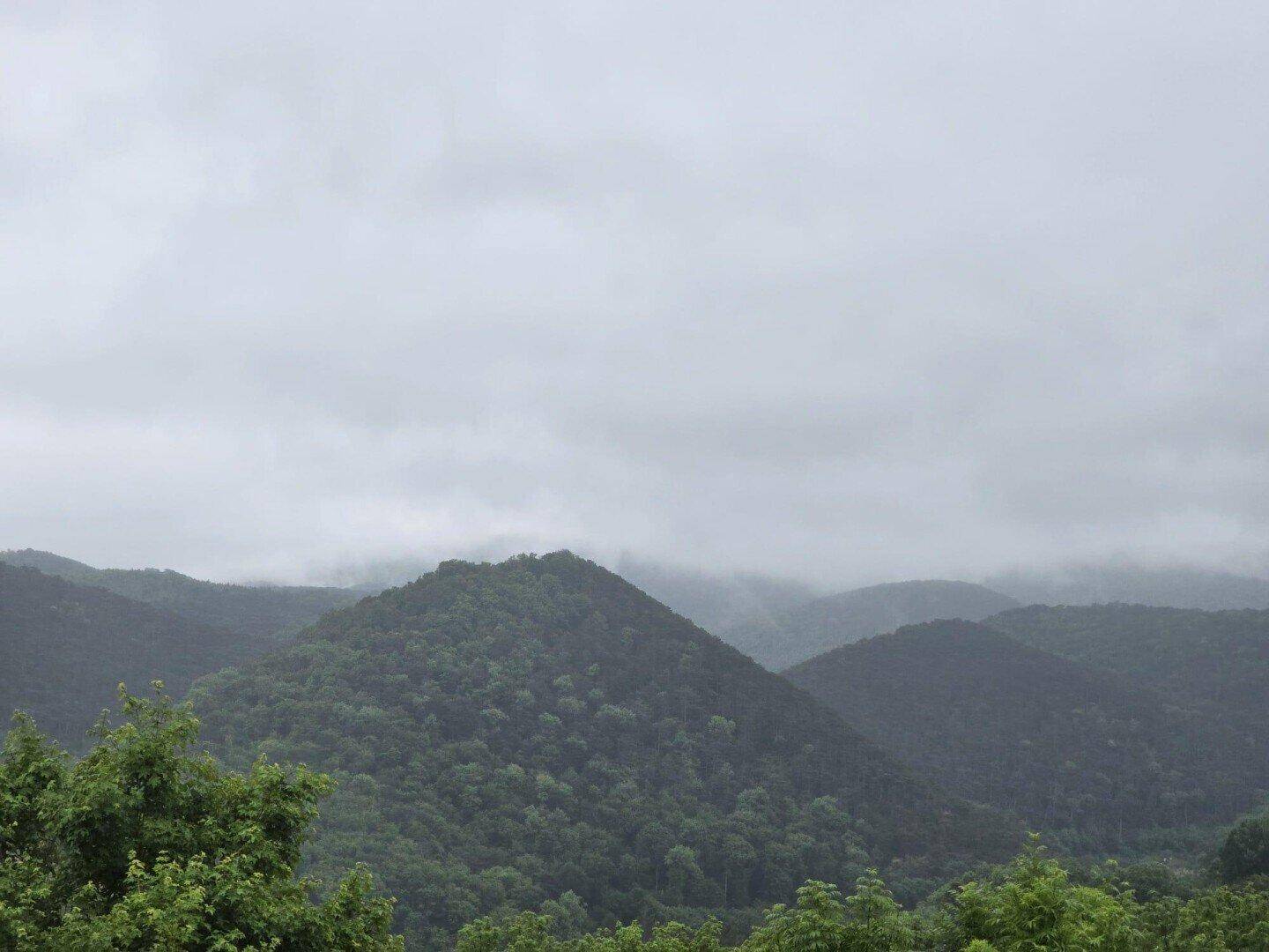 Ausblick vom Balkon aus (2)