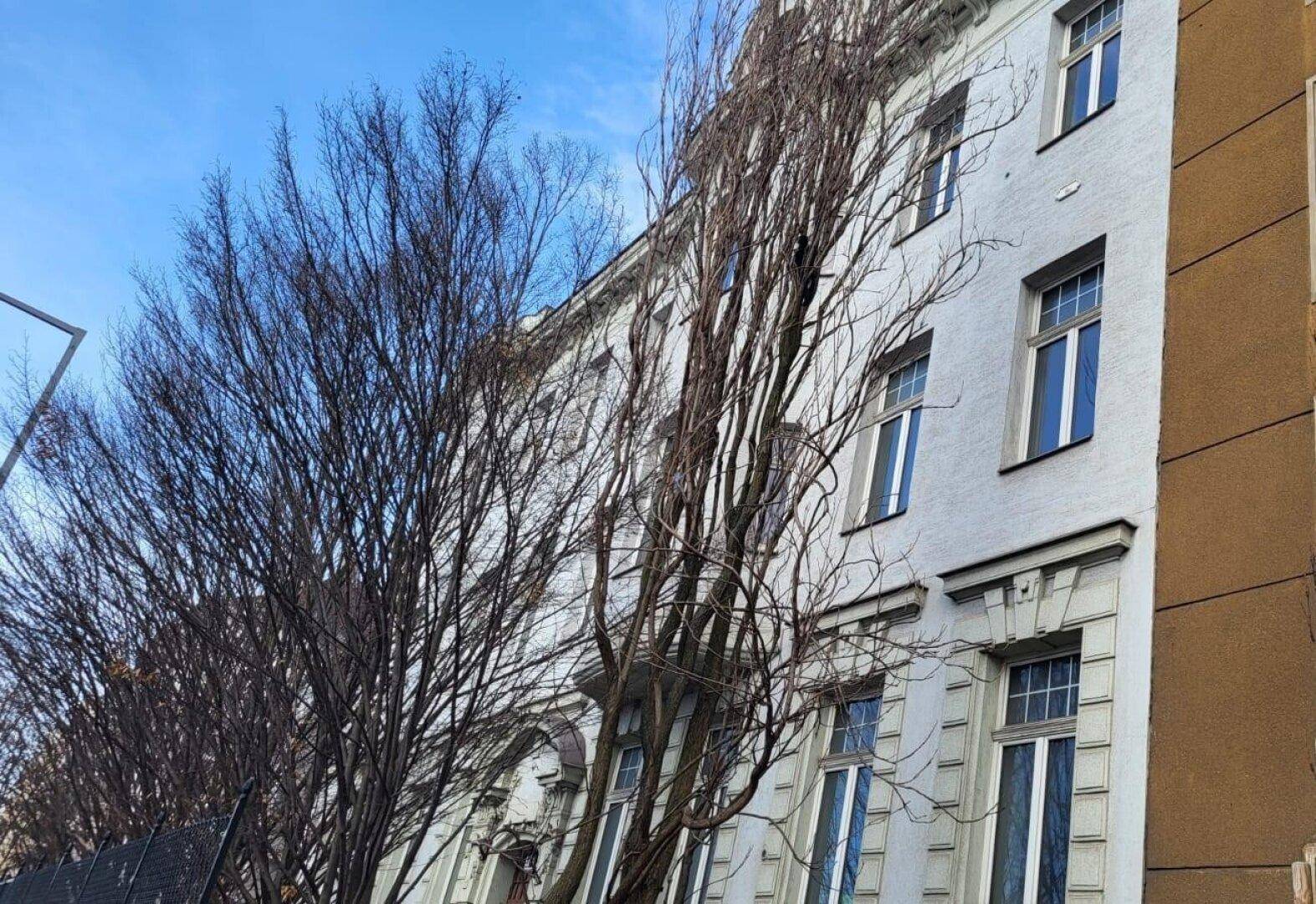 Fassade eines klassischen Altbaus mit vielen Fenstern und kahlen Bäumen im Vordergrund unter blauem Himmel.