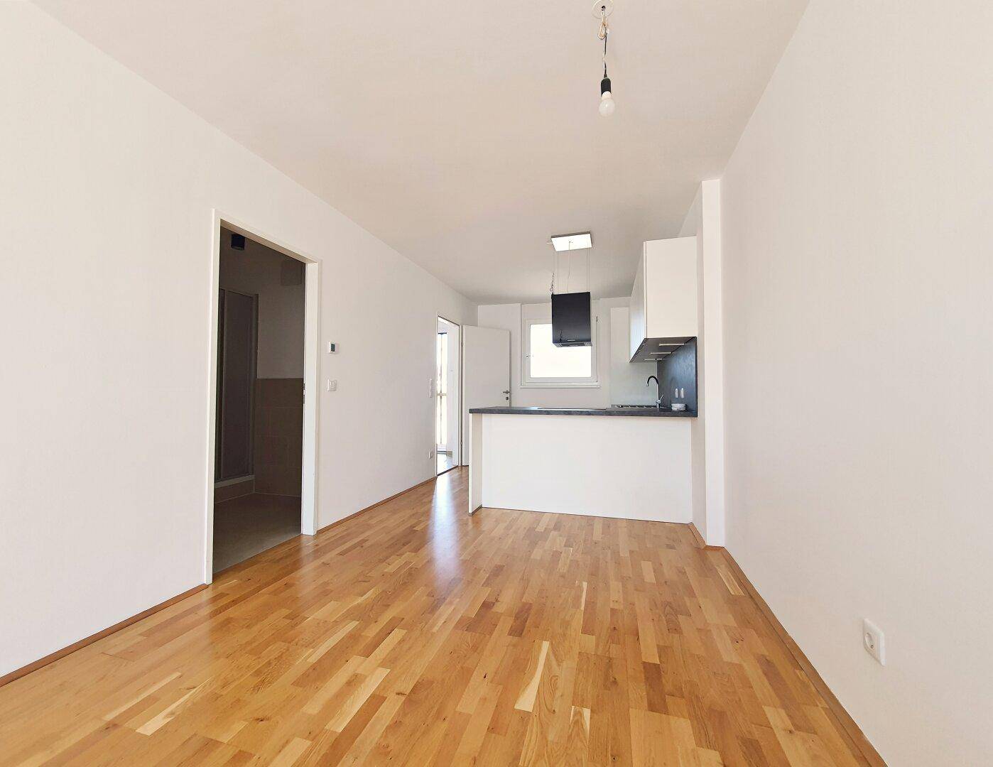 Wohnzimmer /Wohnküche