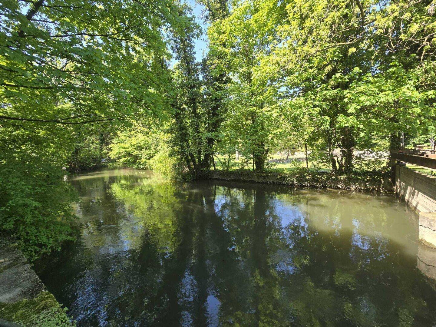 Ruhiger Fluss umgeben von üppigem Grün und hohen Bäumen unter blauem Himmel.