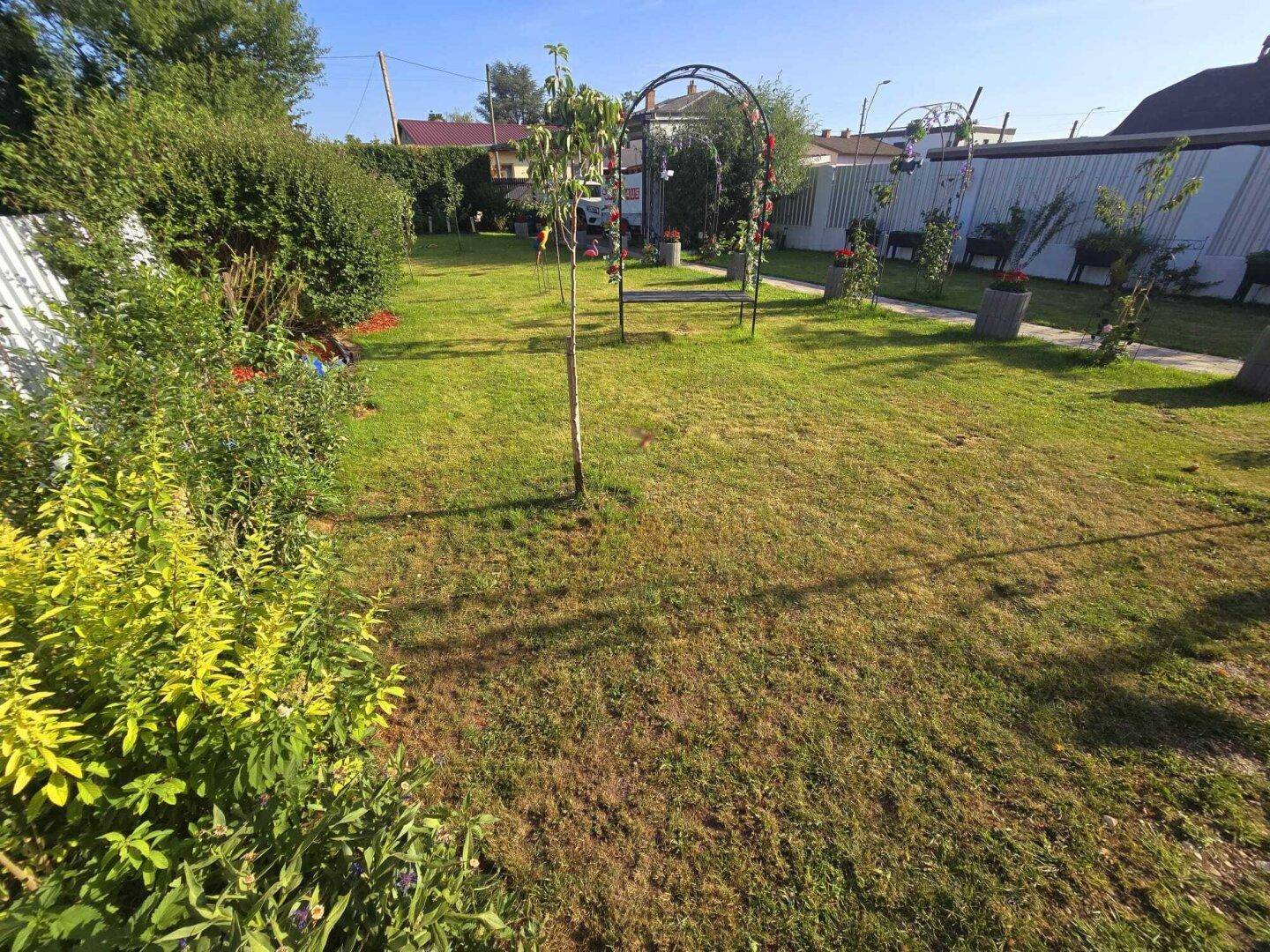 Gepflegter Garten mit Rasenfläche, jungen Bäumen und einem dekorativen Rosenbogen.