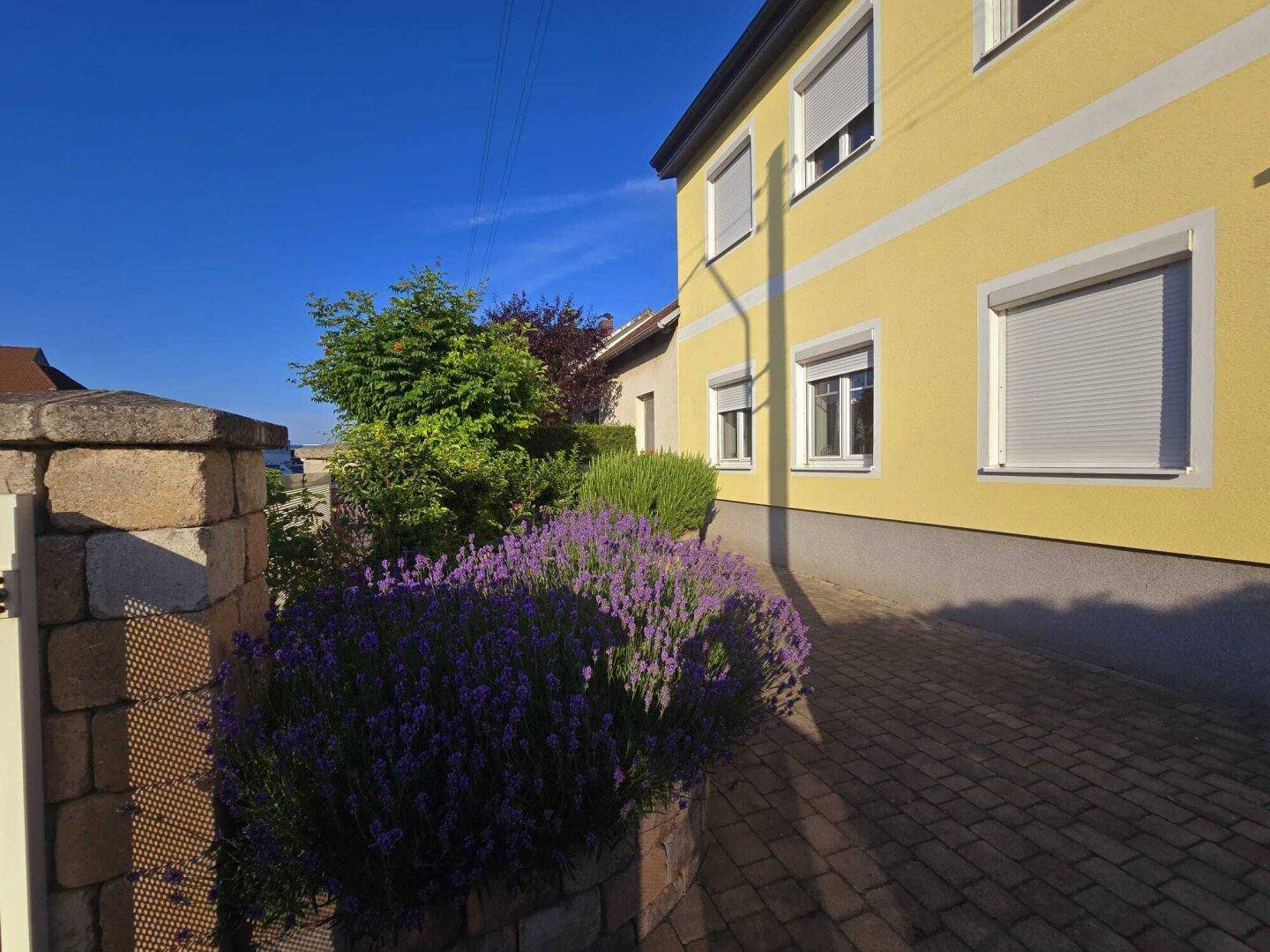 Hausfassade in Gelb mit Rollläden und blühendem Lavendel im Vorgarten.