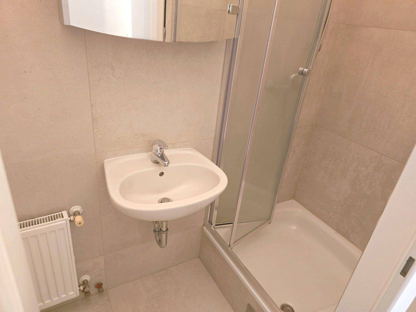 Detailansicht eines kleinen Badezimmers mit Duschkabine, Waschbecken und Heizkörper.