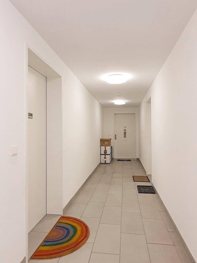 1. Dachgeschoß (ohne Schrägen)