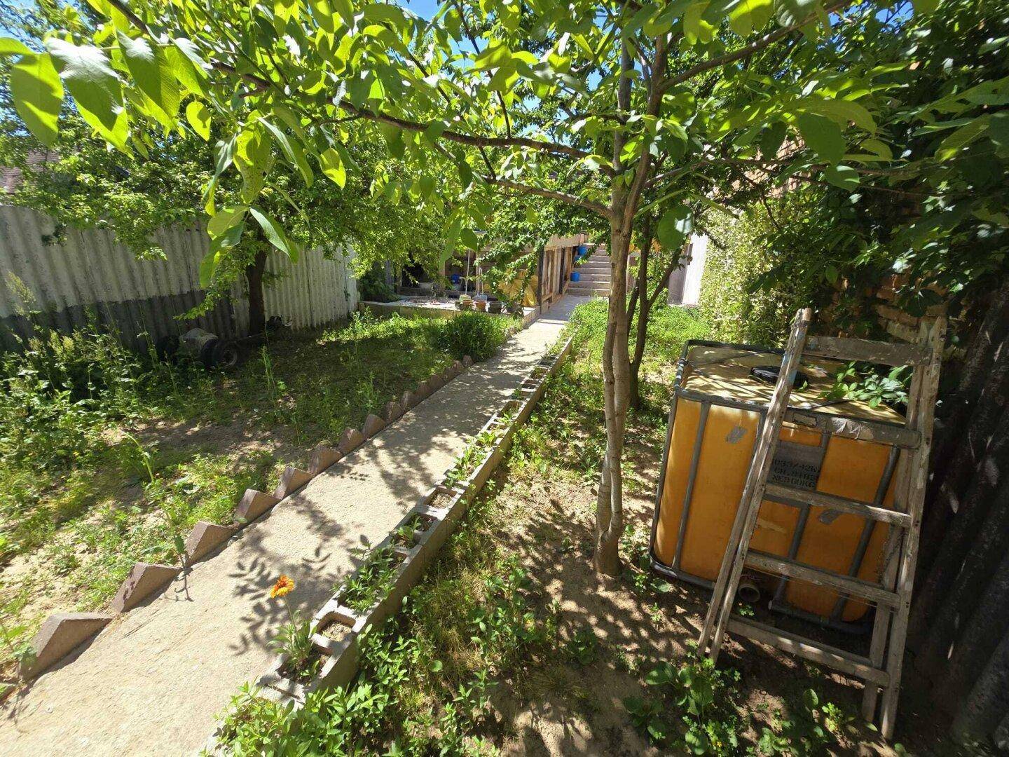 Naturbelassener Gartenbereich mit einem schmalen Weg und viel Grün unter Bäumen.