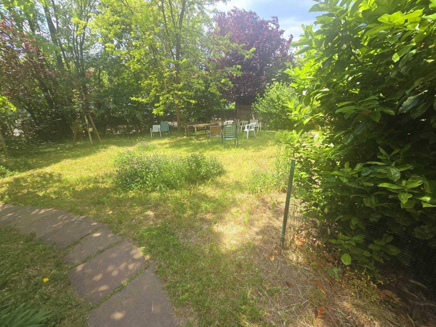 Großer Gartenbereich mit Rasenfläche, Bäumen und einfacher Sitzgelegenheit im Grünen.