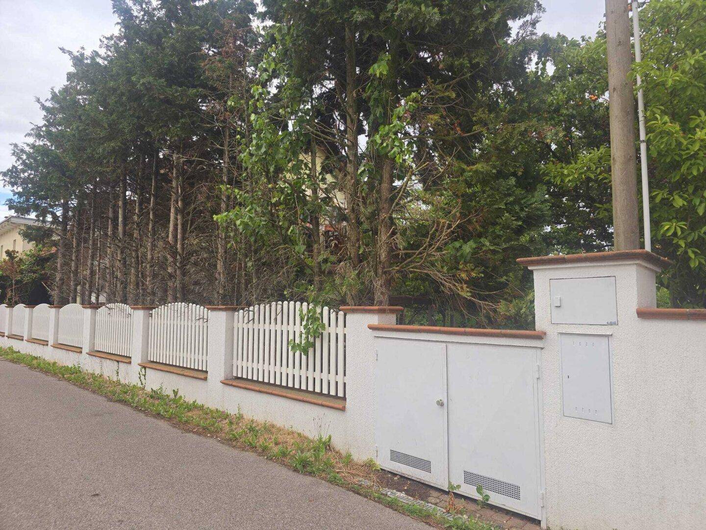Langer weißer Lattenzaun entlang der Straße mit hohen Bäumen im Hintergrund.