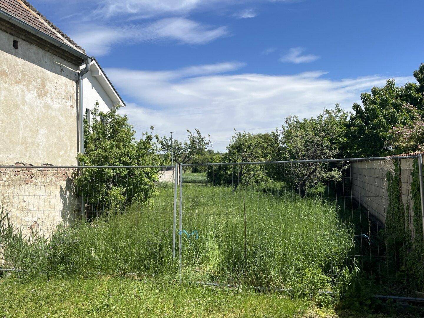 Unbebautes Grundstück mit hohem Gras und provisorischem Zaun, umgeben von Bäumen und einem Haus.