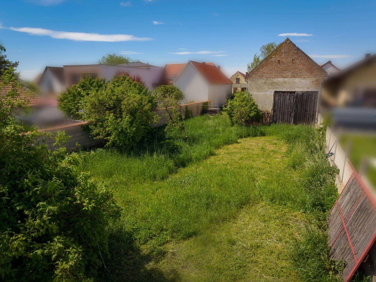 Weitläufiges, überwachsenes Grundstück mit Blick auf benachbarte Häuser und viel Grün.