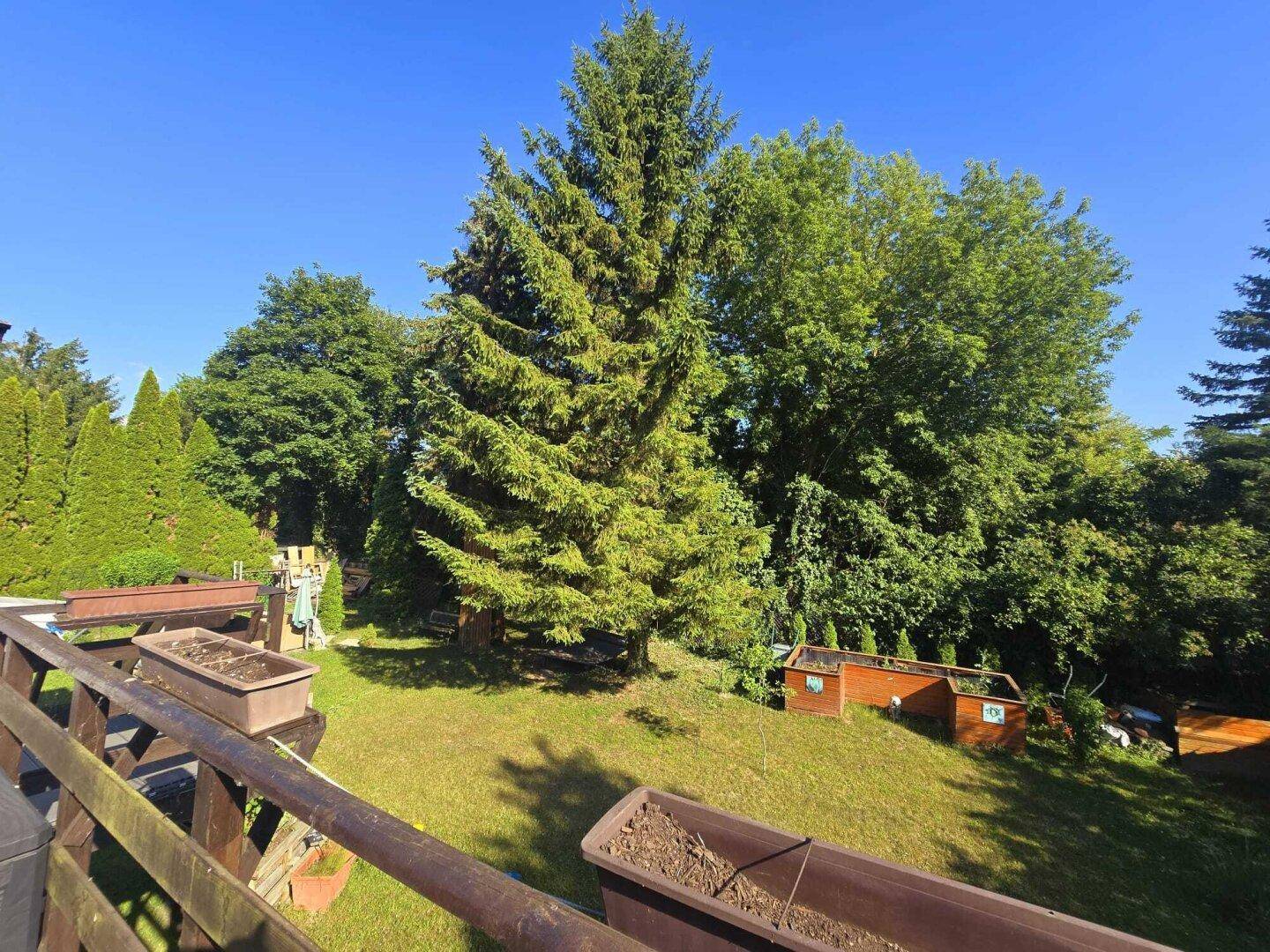 Blick von der Terrasse auf den grünen Garten mit hohen Bäumen und viel Natur.