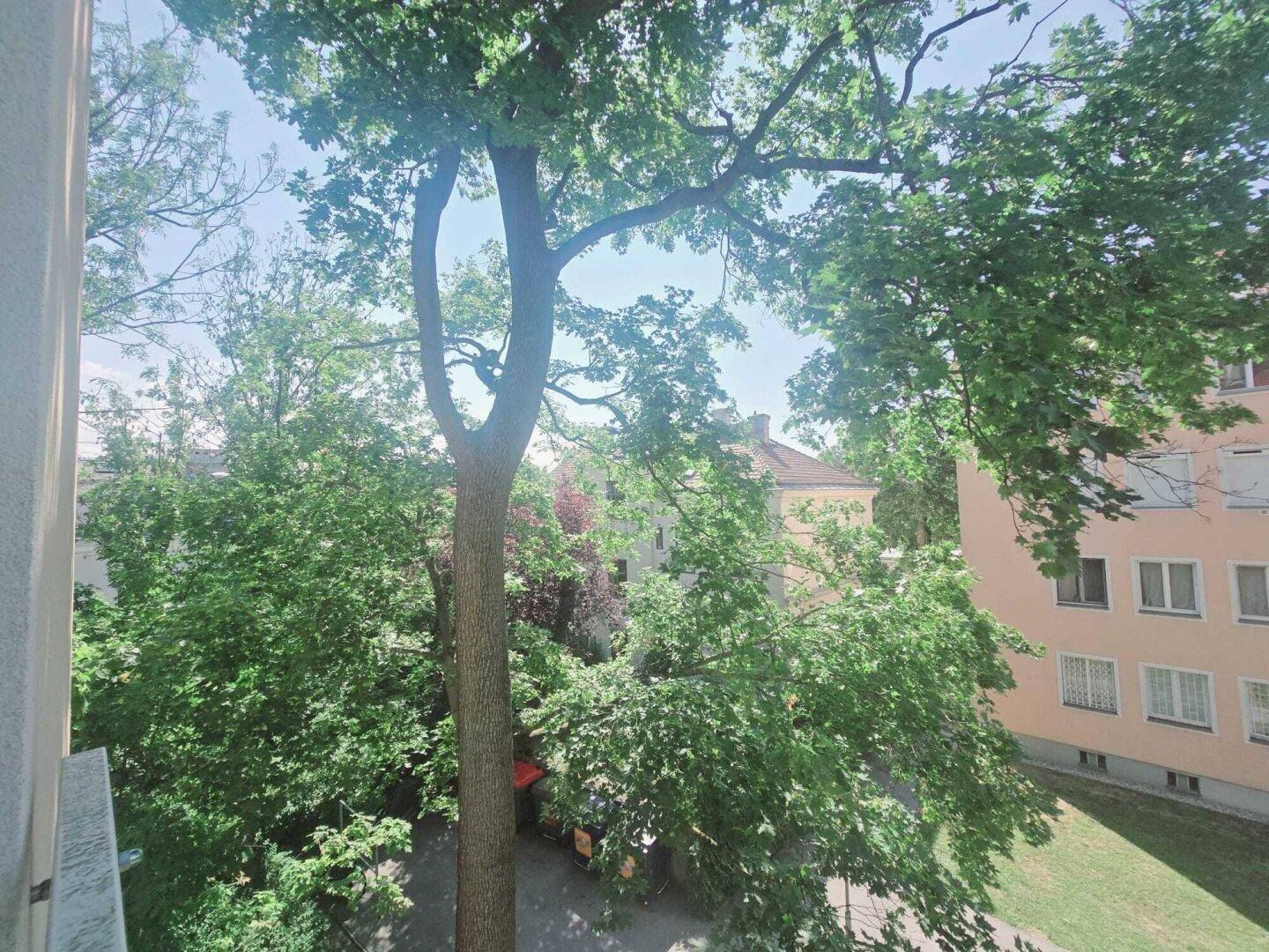 Blick von einem Balkon oder Fenster auf üppiges Grün und benachbarte Gebäude.