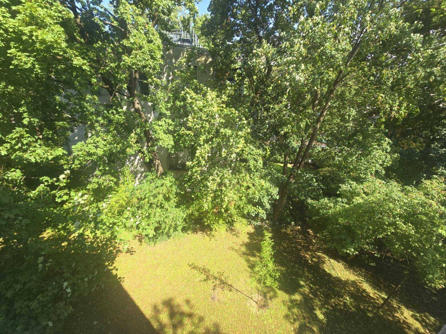 Blick auf einen grünen, baumbestandenen Gartenbereich mit Rasenfläche.