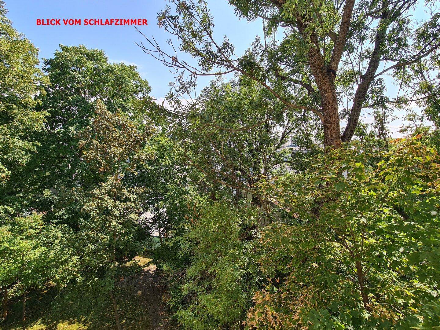 Malerischer Blick aus dem Schlafzimmer auf dichte, grüne Baumkronen und Natur.