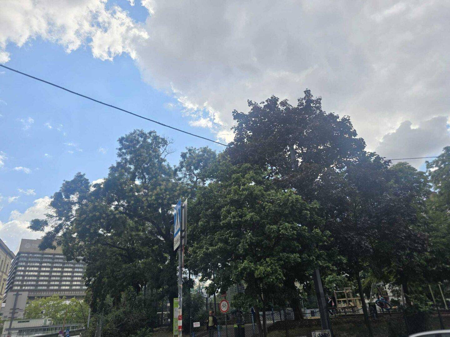 Grüne Bäume unter einem bewölkten Himmel mit einem Gebäude im Hintergrund.