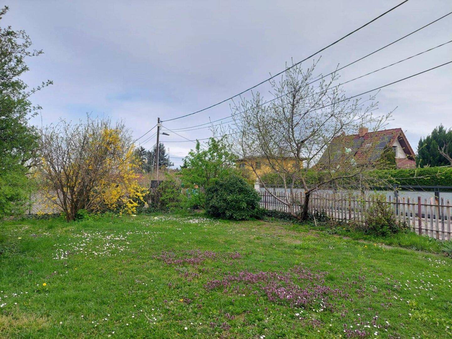 Weitläufiger Garten mit Rasen, blühenden Pflanzen und einem Zaun im Hintergrund unter einem bewölkten Himmel.