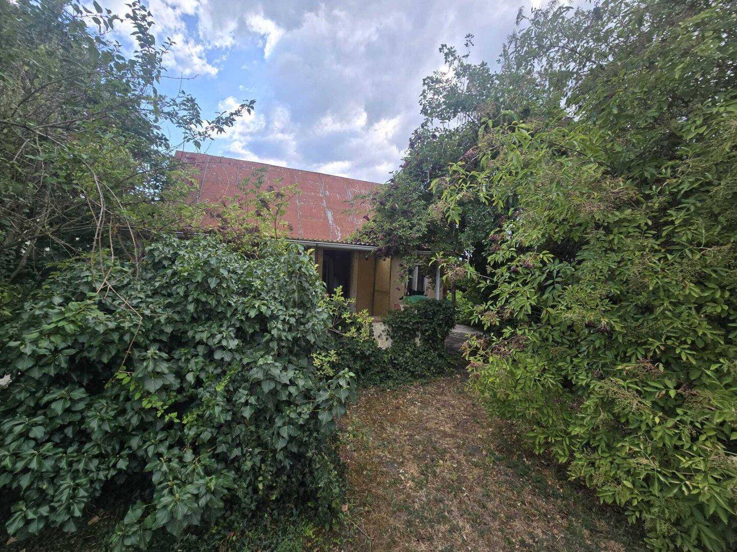 Überwachsener Pfad führt durch dichte Vegetation zum Haus, das von Efeu und Sträuchern umgeben ist.