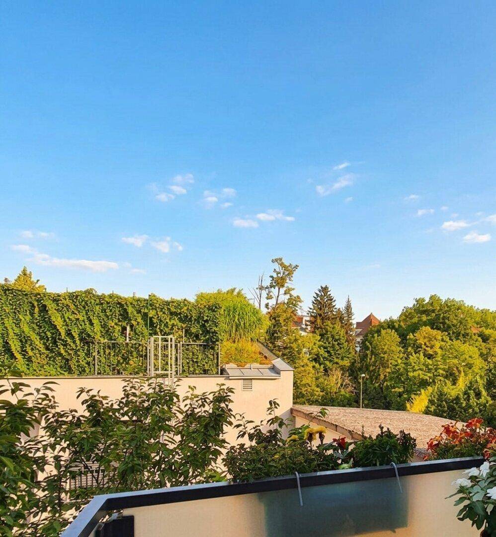 Weitläufiger Blick ins Grüne von der oberen Etage mit viel natürlicher Vegetation.