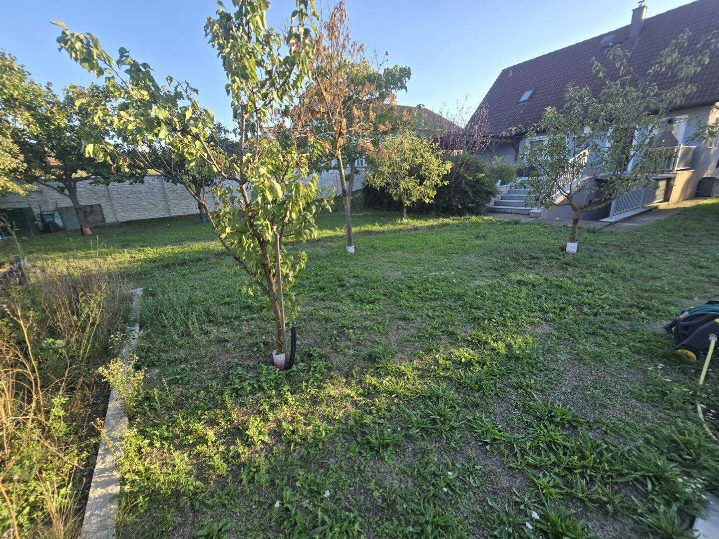 Großer Gartenbereich mit Rasenfläche und jungen Obstbäumen, ideal für Familien.