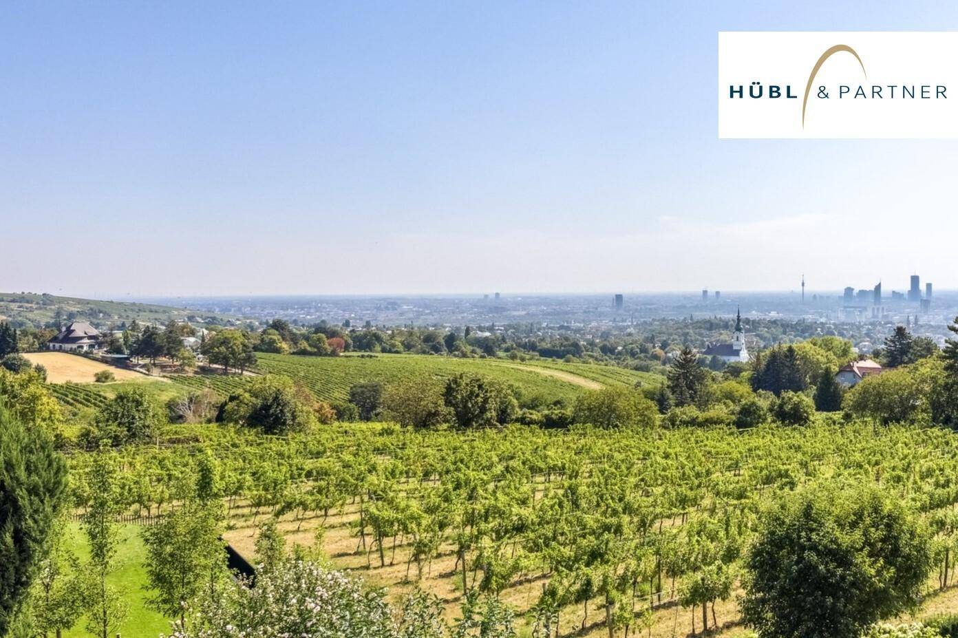 Malerischer Blick über die Weinberge und die Stadt Wien an einem sonnigen Tag.