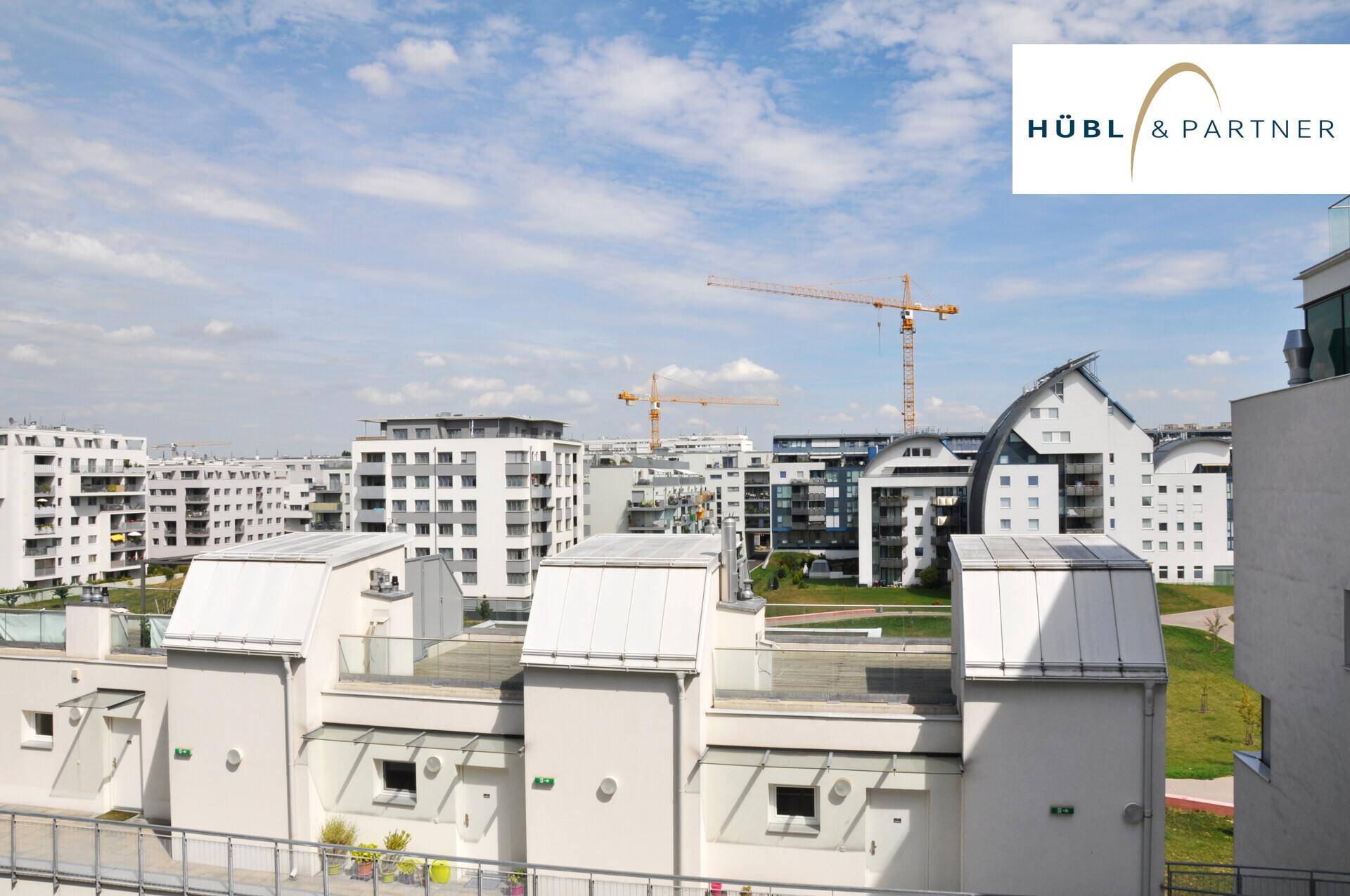Blick über eine moderne Wohnsiedlung mit Neubauten und Baukranen unter blauem Himmel.