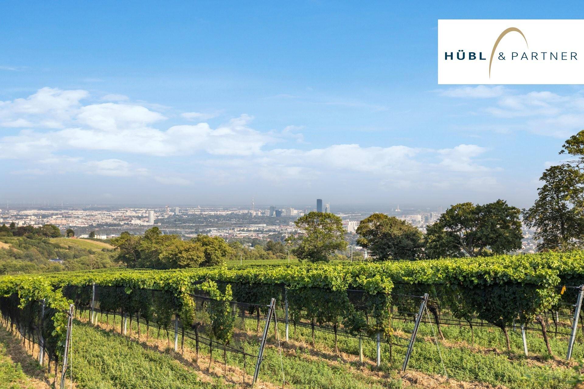 Weitläufiger Blick über Weinberge und die Stadt Wien unter blauem Himmel.